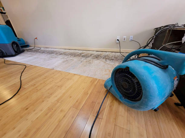Professional Burst Pipe Water Damage technician working in Adel, GA